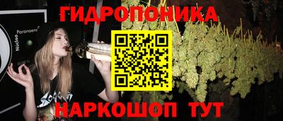 гашик Балашиха
