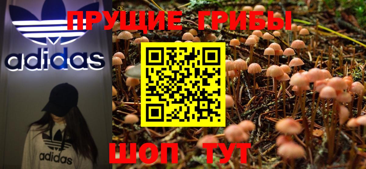 Ирбит  Псилоцибиновые грибы MAGIC MUSHROOMS  Вход с VPN 
