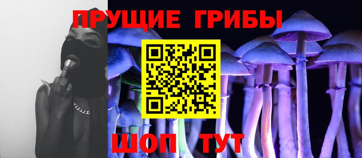 Псилоцибиновые грибы прущие грибы Ирбит